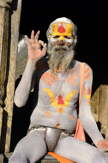 zoom sur les sadhus